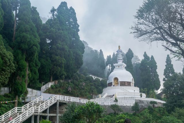 Darjeeling in November: Weather, Crowds & What to Do