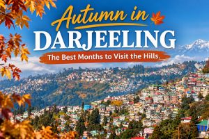 Autumn in Darjeeling: Best Months to Visit the Hills