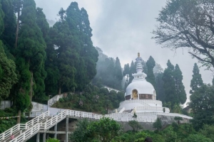 Darjeeling in November: Weather, Crowds & What to Do