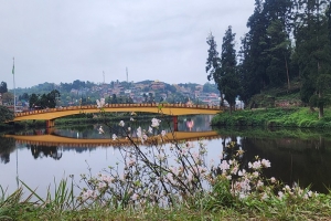 Mirik Sightseeing from Darjeeling - Full-Day Tour Itinerary
