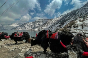 Gangtok Tour Itinerary – 3 Nights / 4 Days