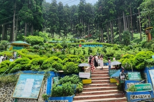 Scenic Day Trip: Darjeeling to Lamahatta & Gumba Dara