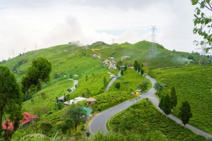 Siliguri/NJP/Bagdogra to Darjeeling via Mirik